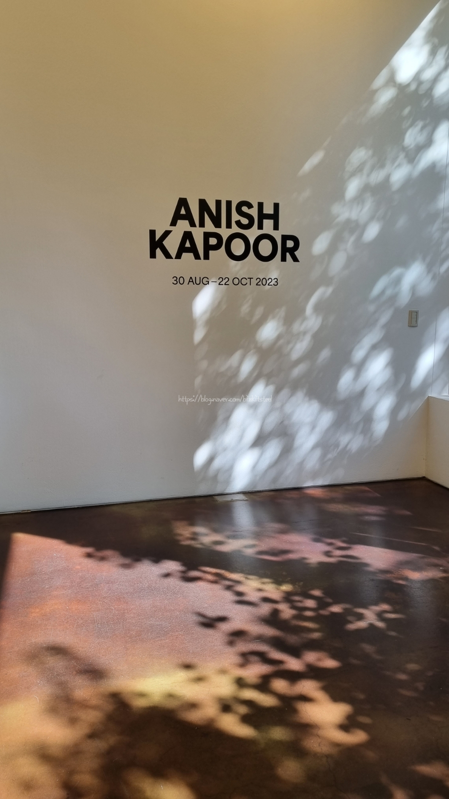 [국제갤러리] 아니쉬 카푸어 개인전