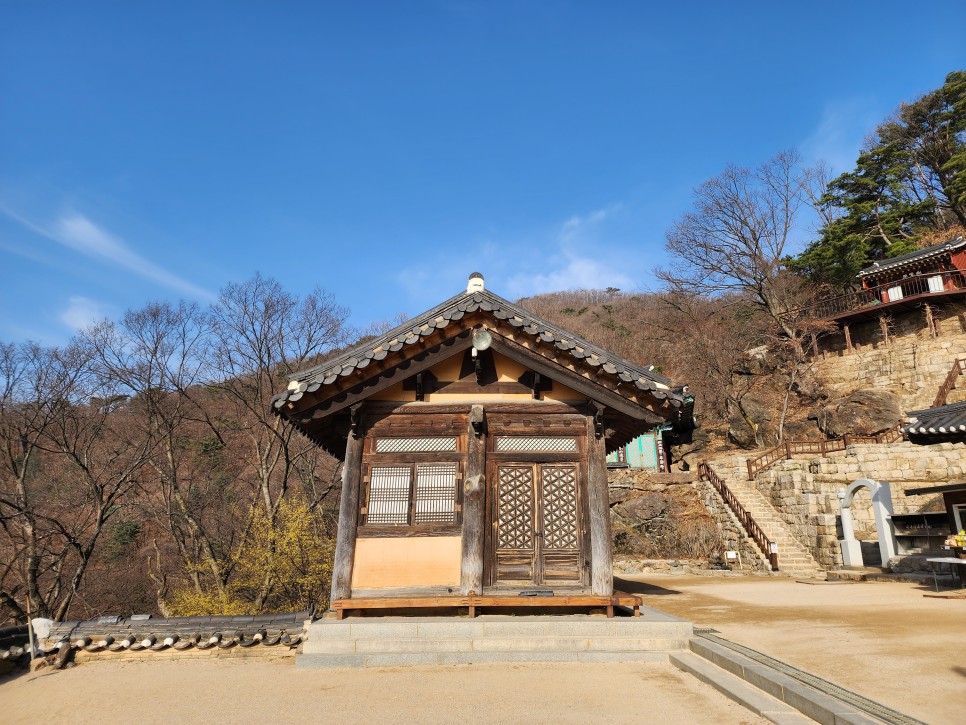 봄기운, 운길산(수종사-정상-세정사) 산행('23.03.18)