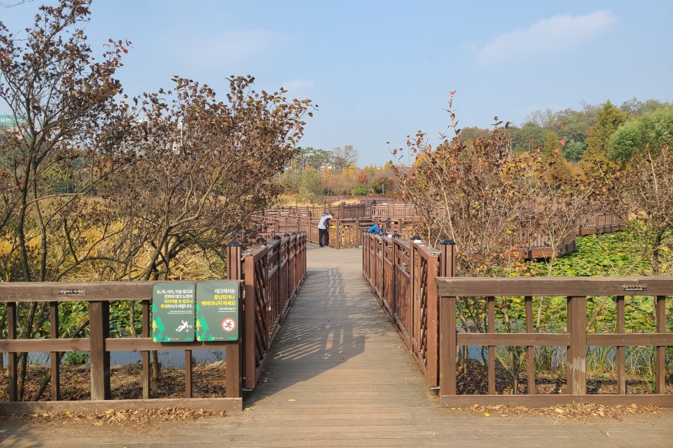 서울 푸른수목원과 항동철길, 부천 인천 단풍구경 다녀오기 좋은 곳!