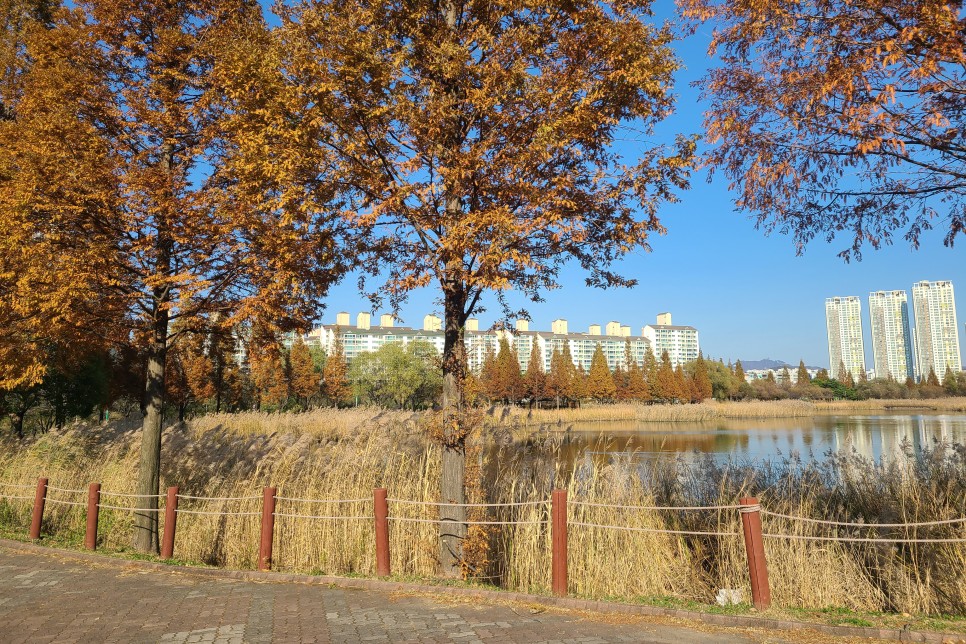 경기도 안산 주말 나들이 안산호수공원, 가을 분위기가 물씬!