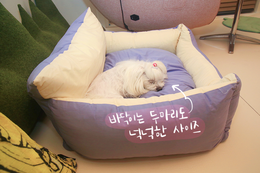 강아지 침대 : 세탁 가능 순면100% 보뚜 범퍼방석