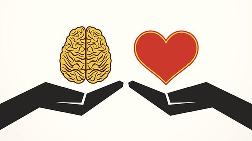 건강한 뇌 만들기는 심장을 돌보는 것?