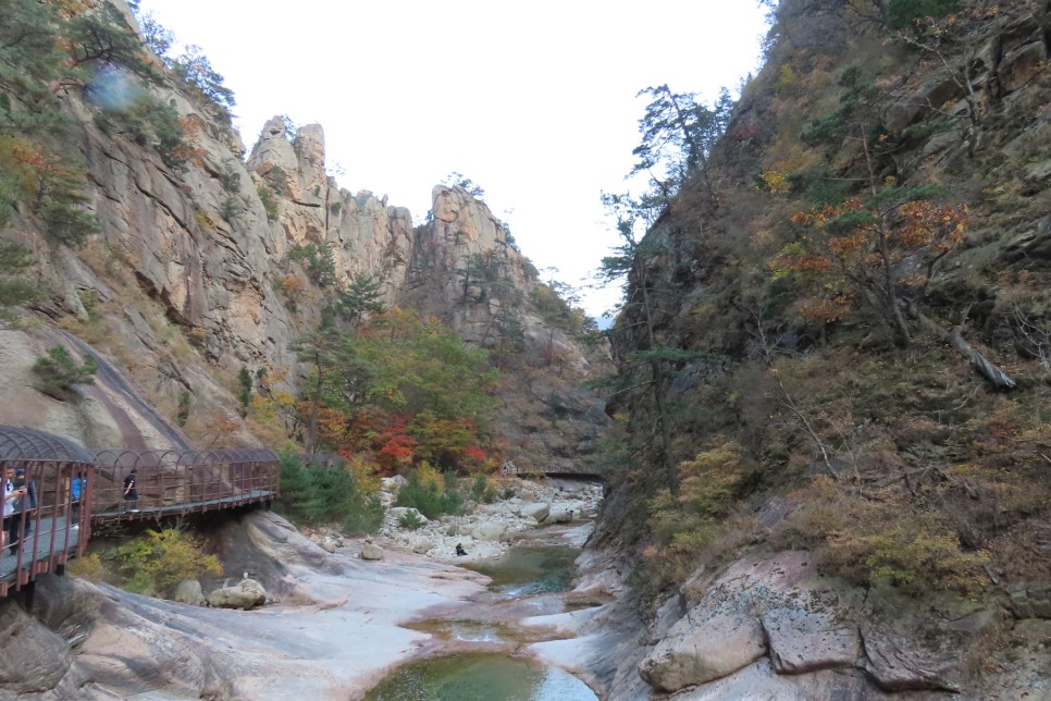 [설악산국립공원] 암봉과 기암 그리고 단풍이 어우러진 오색 주전골 탐방