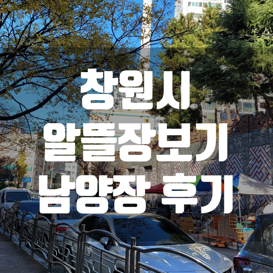 창원 성산구 알뜰 장보기, 빵할인, 남양장(수/토요일)