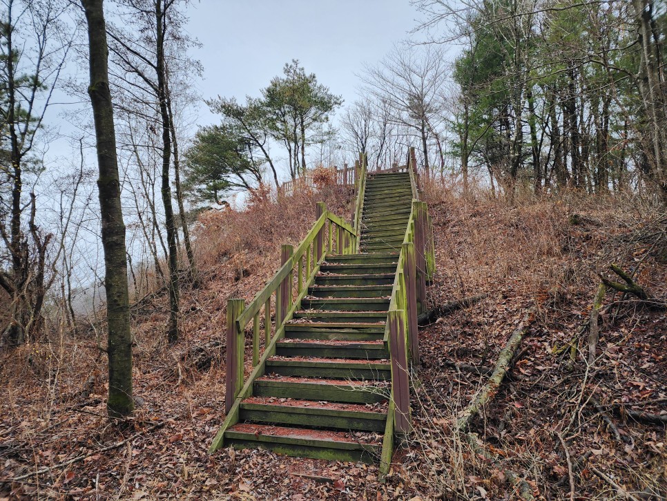 백두대간 29구간(삼마골재-삼도봉-박석산-백수리산-부항령-덕산재) 산행('23.03.25)