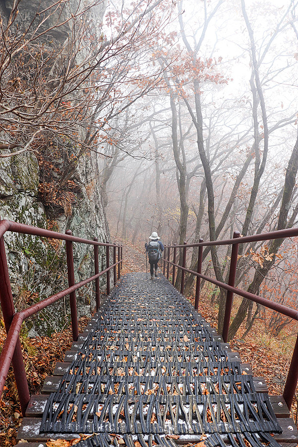 [치악산국립공원] 치악산 가을 단풍산행 / 황골~비로봉 등산코스