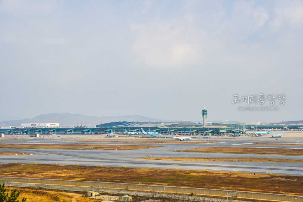 인천공항전망대에서 비행기 이착륙 보기! 탈것을 좋아하는 5살 아이와 가볼만한 곳