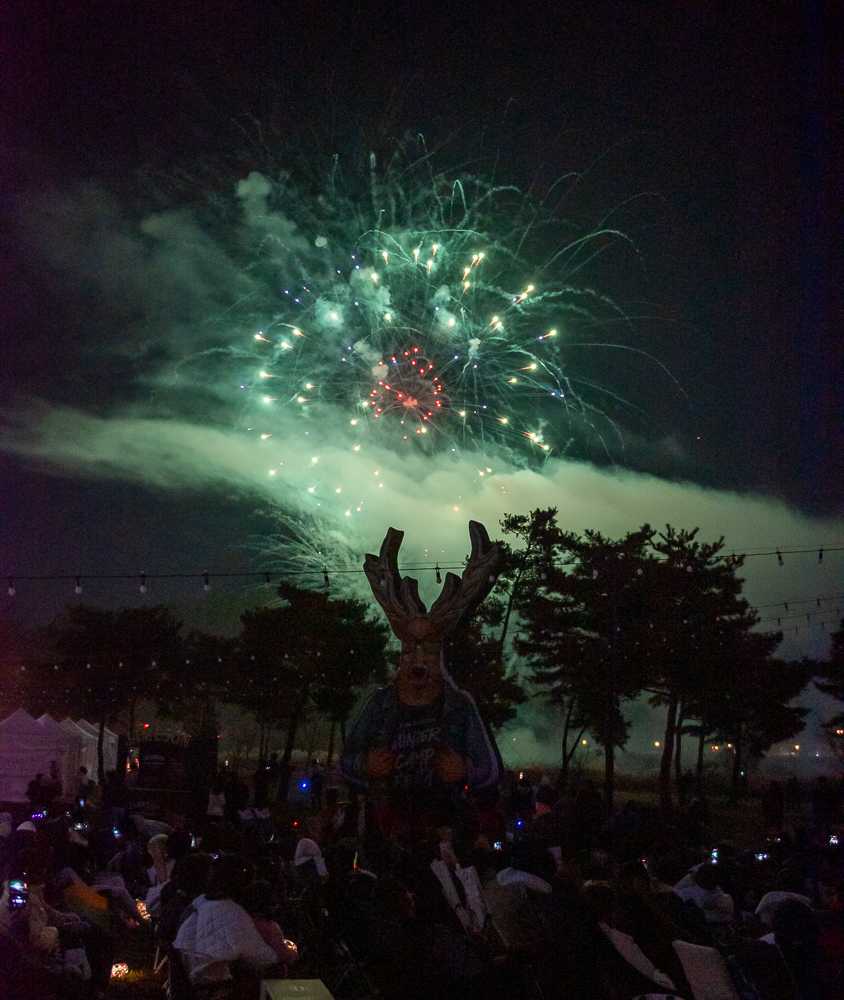 캠핑 파워뱅크 에코플로우 리버2 인산철 배터리 차박 캠핑용품 후기