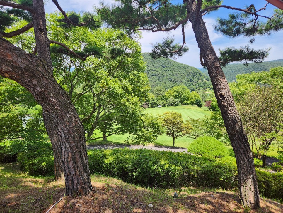 나주 해피니스CC 화순CC 골프장 1박2일 골프 즐기기