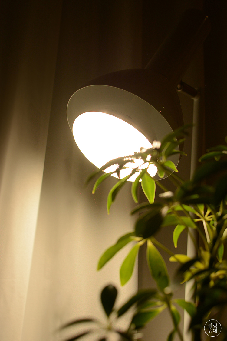 식물등 히포팜텍 식물생장 LED 조명 후기