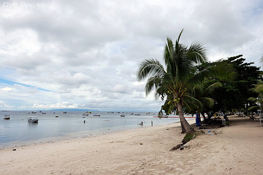 필리핀 여행 보홀 날씨 보라카이 건기 우기 세부 날씨 12월 1월