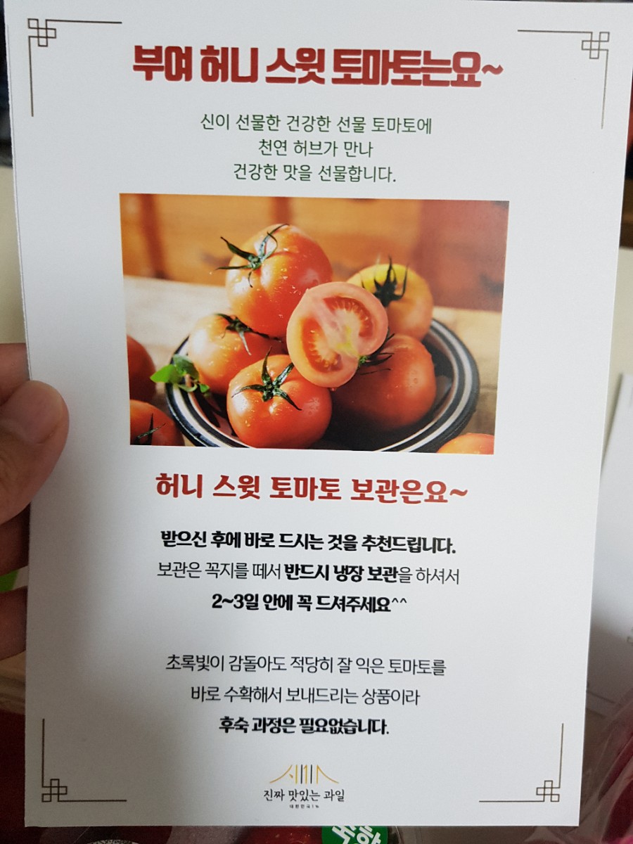 진짜 맛있는 과일 - 부여 허니 스윗 토마토