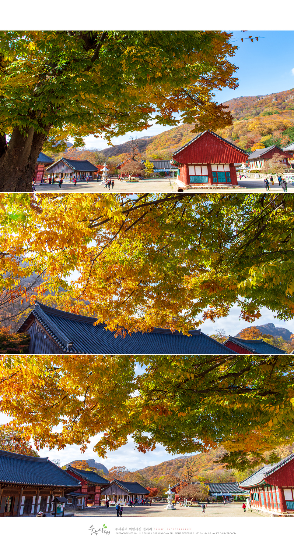 고창 가볼만한곳 가을 여행 추천 전북 고창 선운산 도립공원 고창 선운사 단풍