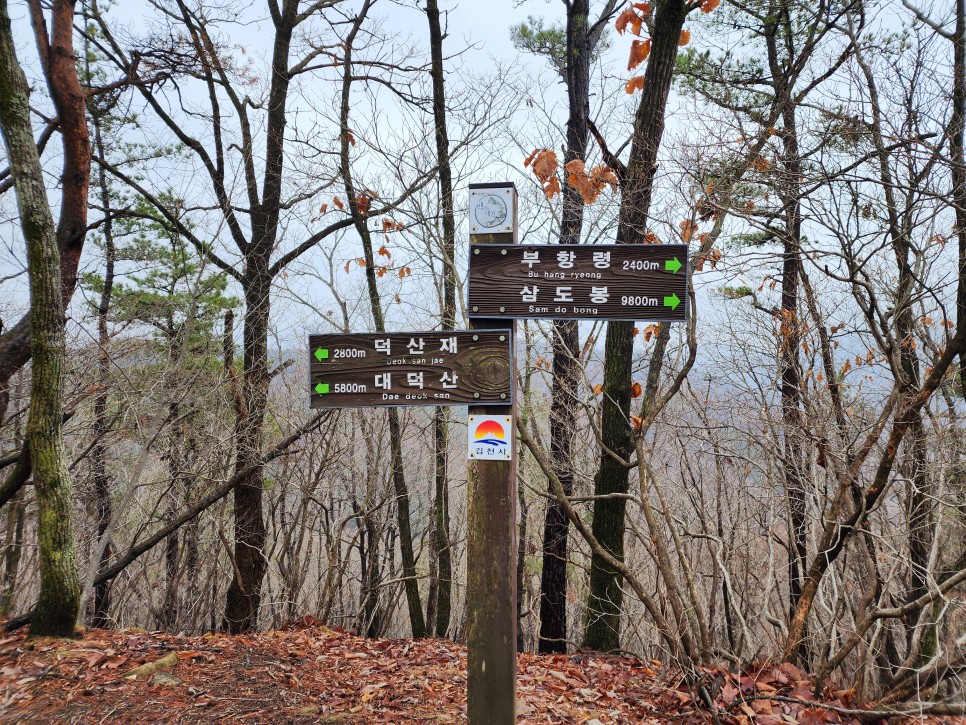 백두대간 29구간(삼마골재-삼도봉-박석산-백수리산-부항령-덕산재) 산행('23.03.25)