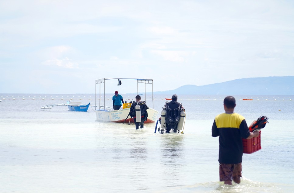 필리핀 보홀 투어 스쿠버다이빙 체험다이빙 추천
