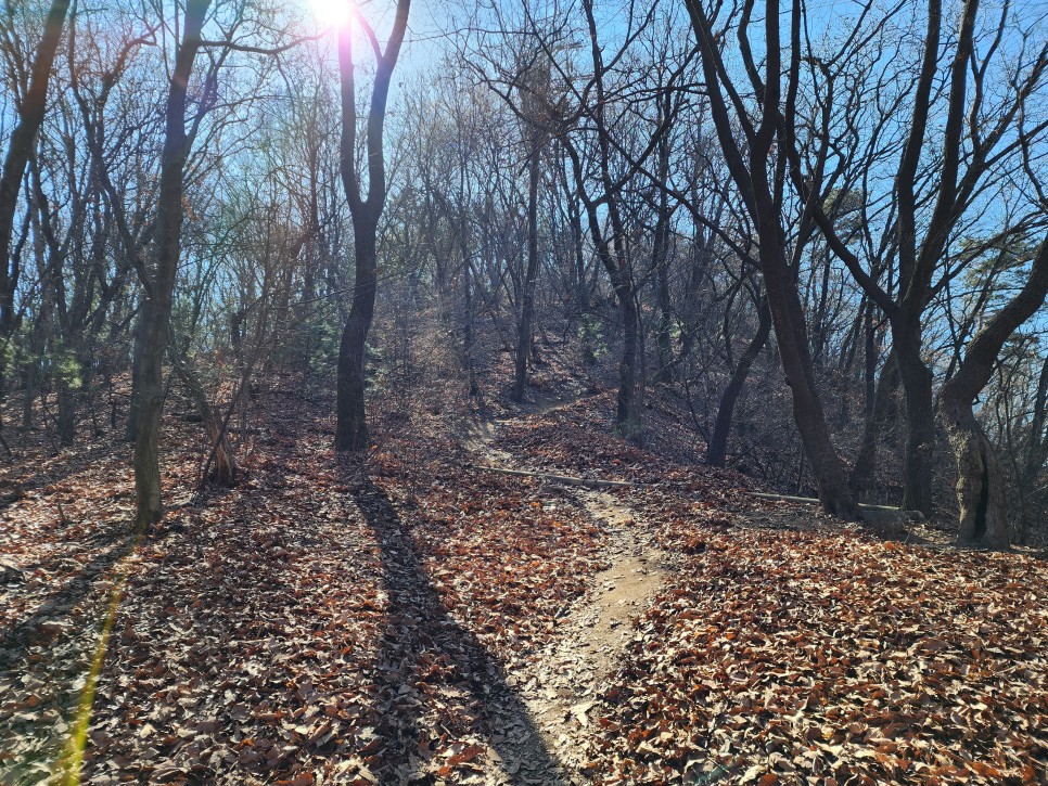 성남누비길 1~3구간 (복정역-남한산성-영장산-태재고개) 산행('23.02.26)