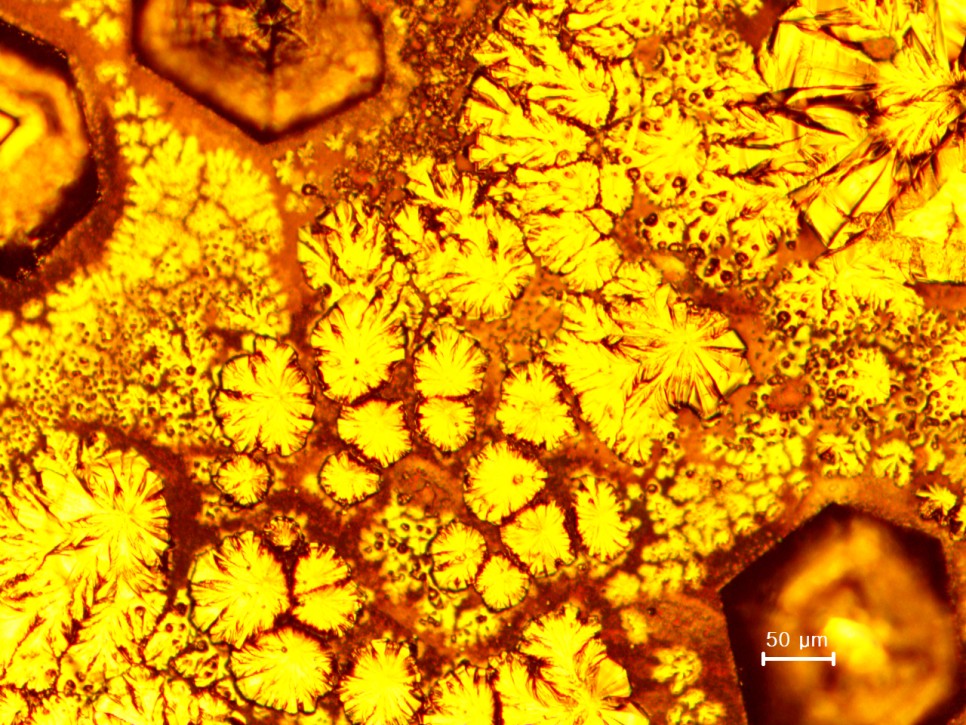 [과학과 예술의 만남] IBS(기초과학연구원) Art in Science. 실험실과 현장에서 이루어지는 과학의 순간은 예술과 다름없다