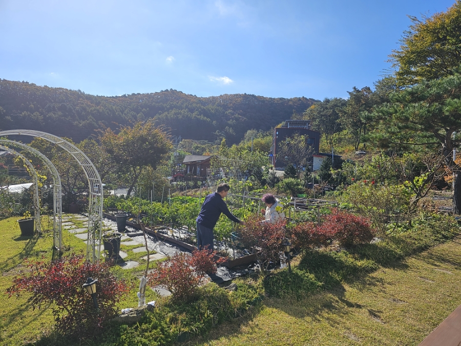 홍천에 첫눈이 왔어요. 주말 나들이