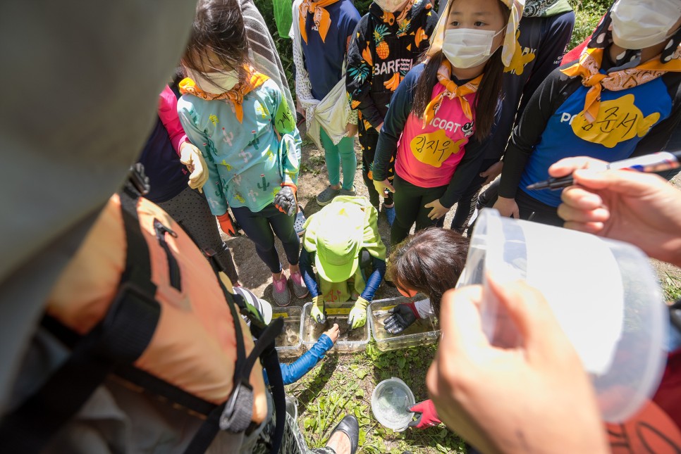 초등학교 체험학습, 숲 생태놀이, 숲 놀이터 (주)자연아놀자