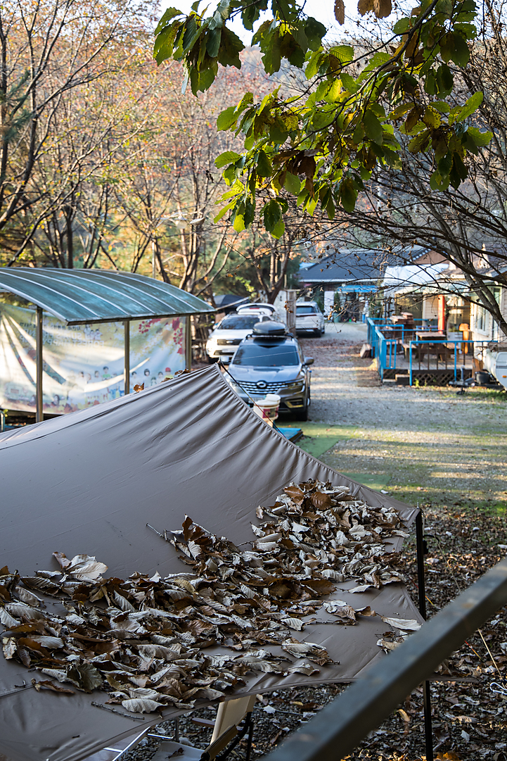 10월 한달 캠핑후기 혼캠과 솔캠의 그 어디쯤의 캠핑: 가을인데~