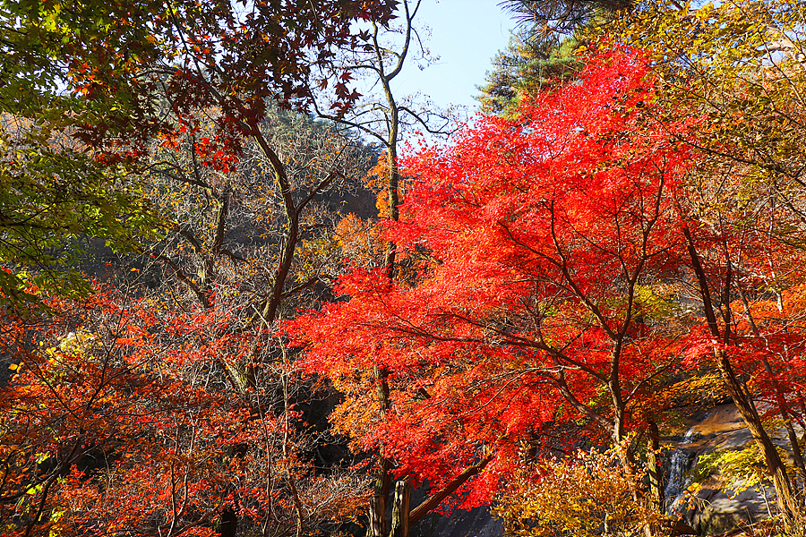 [북한산국립공원] 도봉산 포대능선~신선대~오봉~우이암 코스 / 가을단풍과 기암