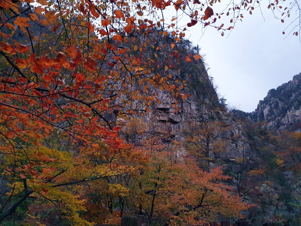 설악산 등산, 외설악 가을 단풍 산행 (용소골 ~ 칠형제봉)