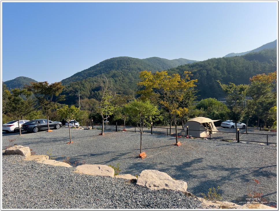 청도 캠핑장 캠프1530 애견동반 가능한 넓은 사이트 소개 캠핑후기