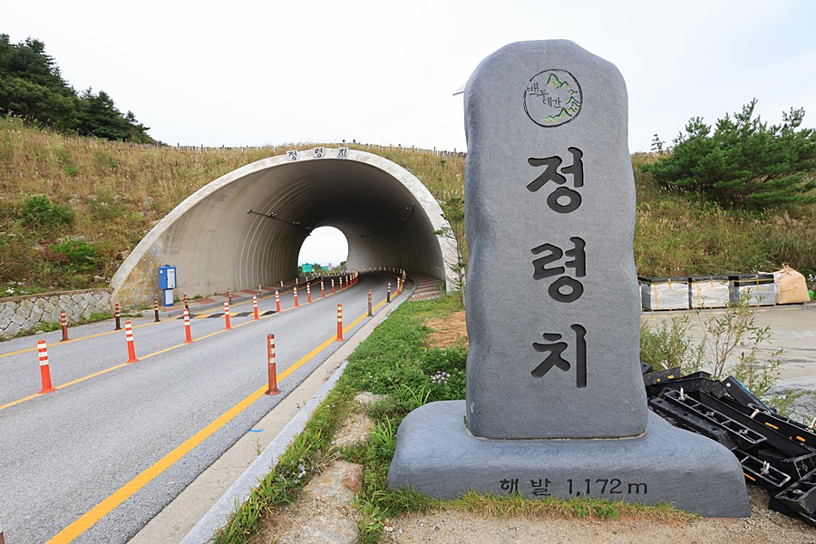 [지리산국립공원] 지리산에 이런 곳이...놀라운 재발견 - 정령치 습지와 마애불상군