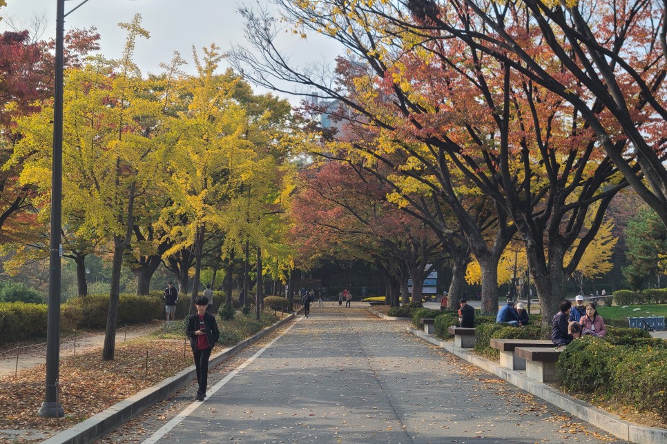 서울 보라매공원 단풍, 보라매공원 주차장 주차요금, 단풍구경 다녀왔어요!