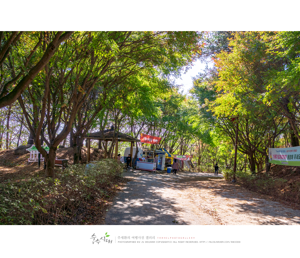천안 가볼만한곳 천안 독립기념관 단풍나무 숲길 천안 여행