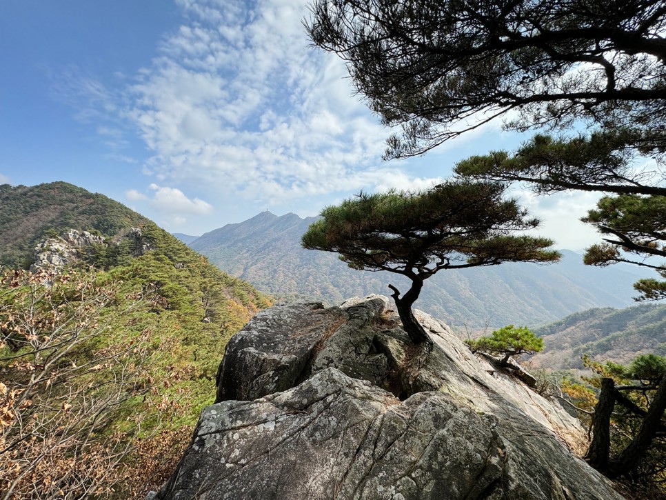 거창 <미녀봉> 능선 산행, 오도산 자연휴양림 출발 원점회귀 코스