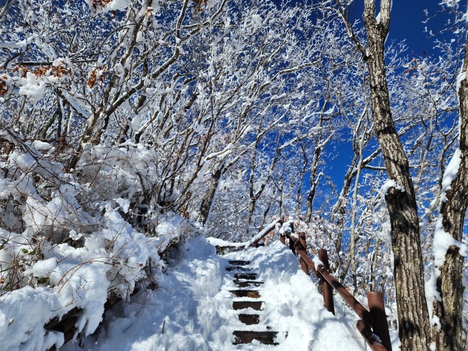 Rechallenge!! 덕유산 설경산행 ('22.12.24)