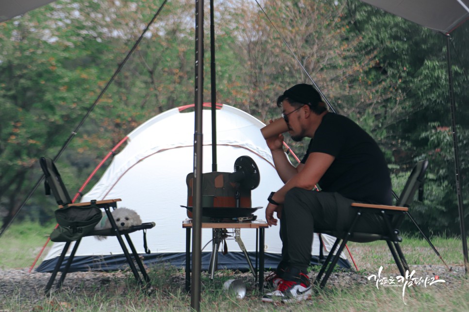 솔캠 혼캠 정리하고 말티푸 캠푸와 함께 한 애견캠핑 5개월 캠핑후기