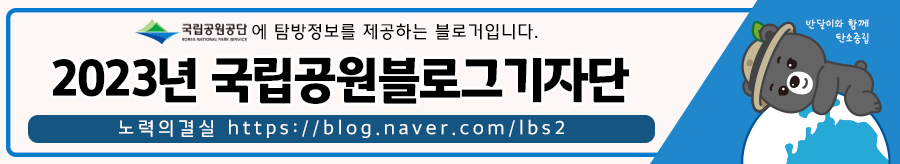 가을의 끝자락, 겨울의 시작이었던 도봉산 등산코스 풍경