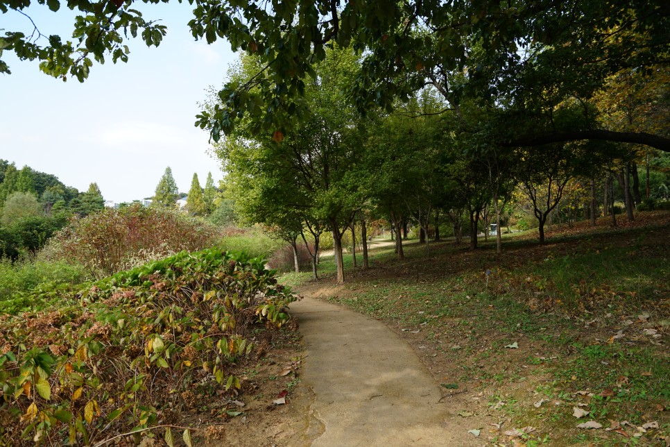 부천 자연생태공원 무릉도원수목원 가을 단풍 구경, 주말 나들이 가기 좋은곳!