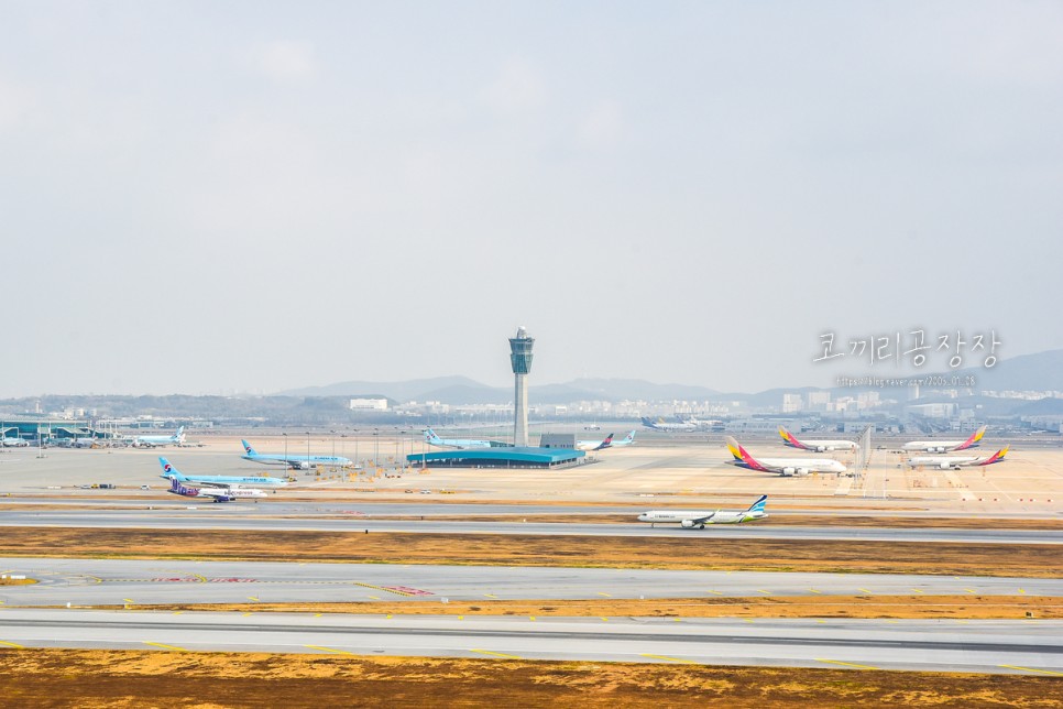 인천공항전망대에서 비행기 이착륙 보기! 탈것을 좋아하는 5살 아이와 가볼만한 곳