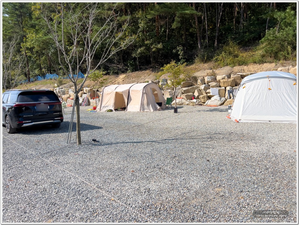청도 캠핑장 캠프1530 애견동반 가능한 넓은 사이트 소개 캠핑후기