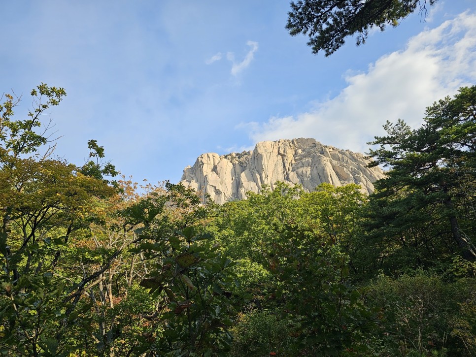 11월 초까지도 단풍 구경에 겨울 설경 구경하기 좋은 설악산 국립공원