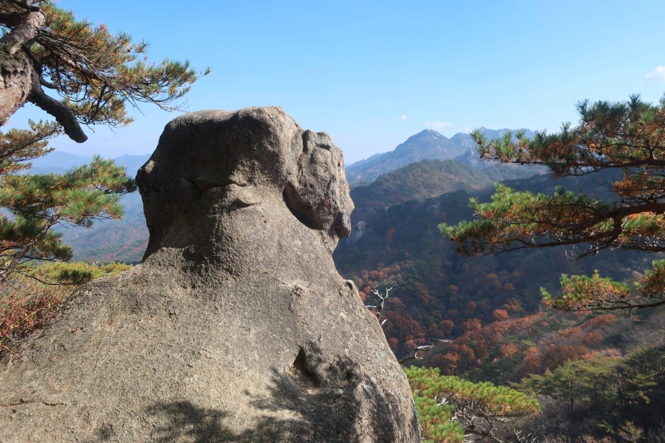 속리산국립공원의 숨은 암릉 산행지 묘봉 등산코스