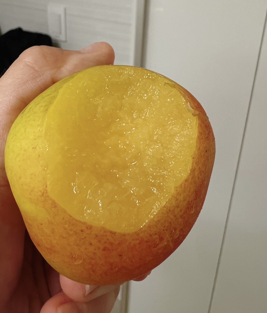 맛있는 여름! 자두 대표 주산지 경북 경산 후무사 자두 판매