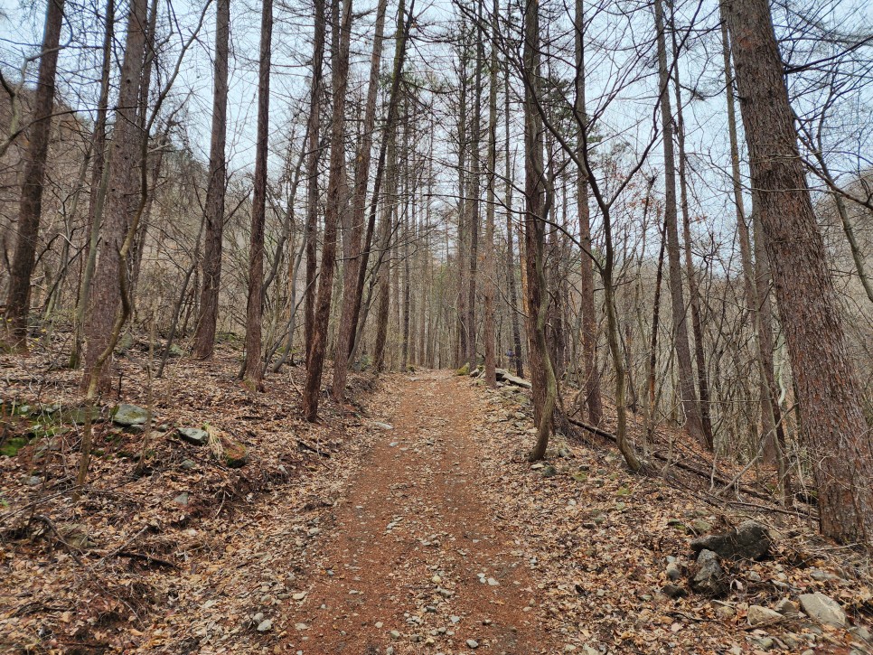 백두대간 29구간(삼마골재-삼도봉-박석산-백수리산-부항령-덕산재) 산행('23.03.25)