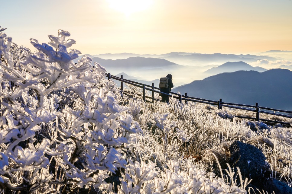 겨울산의 대명사 함백산의 상고대와 운해