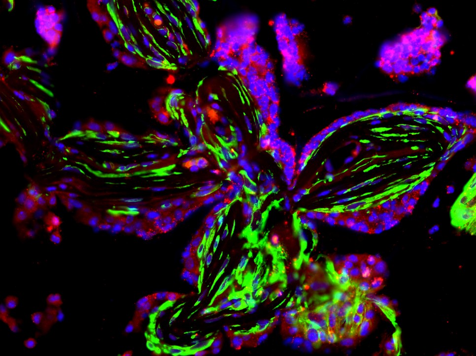 [과학과 예술의 만남] IBS(기초과학연구원) Art in Science. 실험실과 현장에서 이루어지는 과학의 순간은 예술과 다름없다