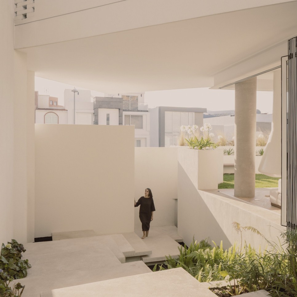 살아있는 유기체 구조로 계획한 도시주택, Sexta House by All Arquitectura
