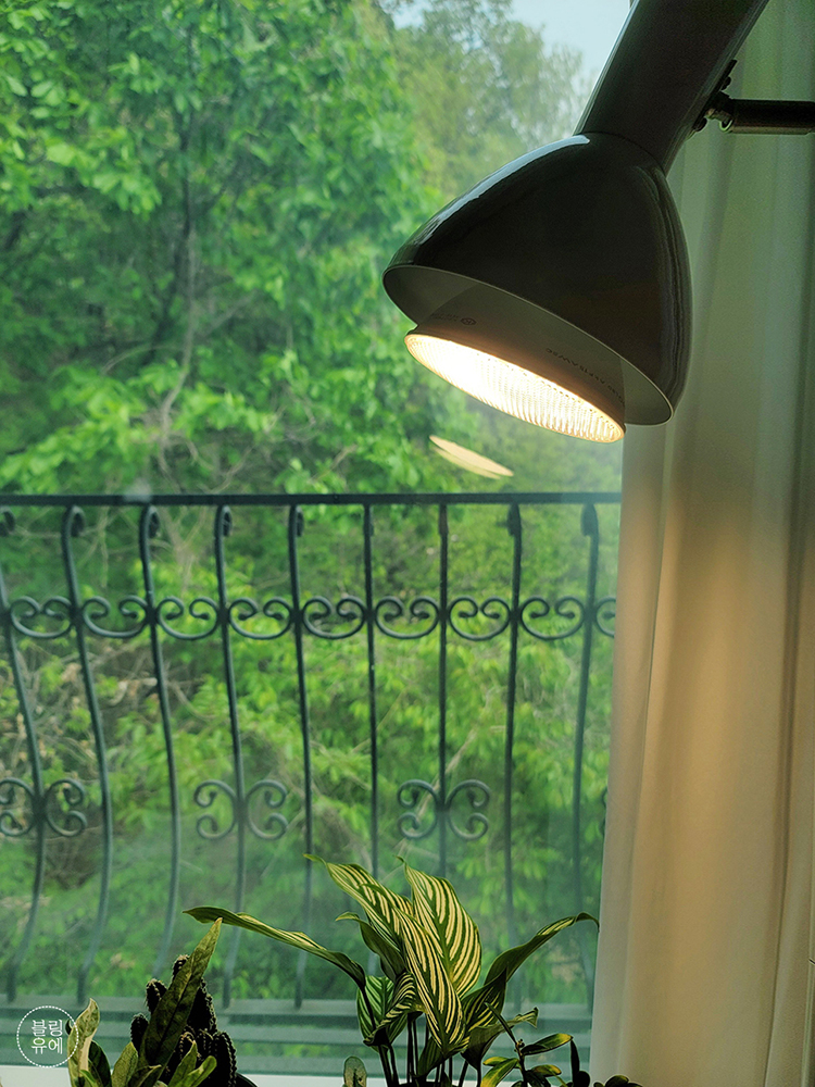 식물등 히포팜텍 식물생장 LED 조명 후기