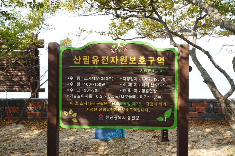 인천 영흥도 갈만한곳 십리포해수욕장 인천 해수욕장 중에 물이 깨끗해요!