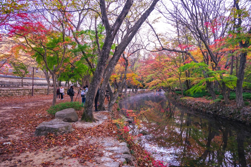 전라도 여행 고창 선운사 도솔천 가을 여행_도솔천 빛내림 인생 사진 포토존 가을 단풍 명소