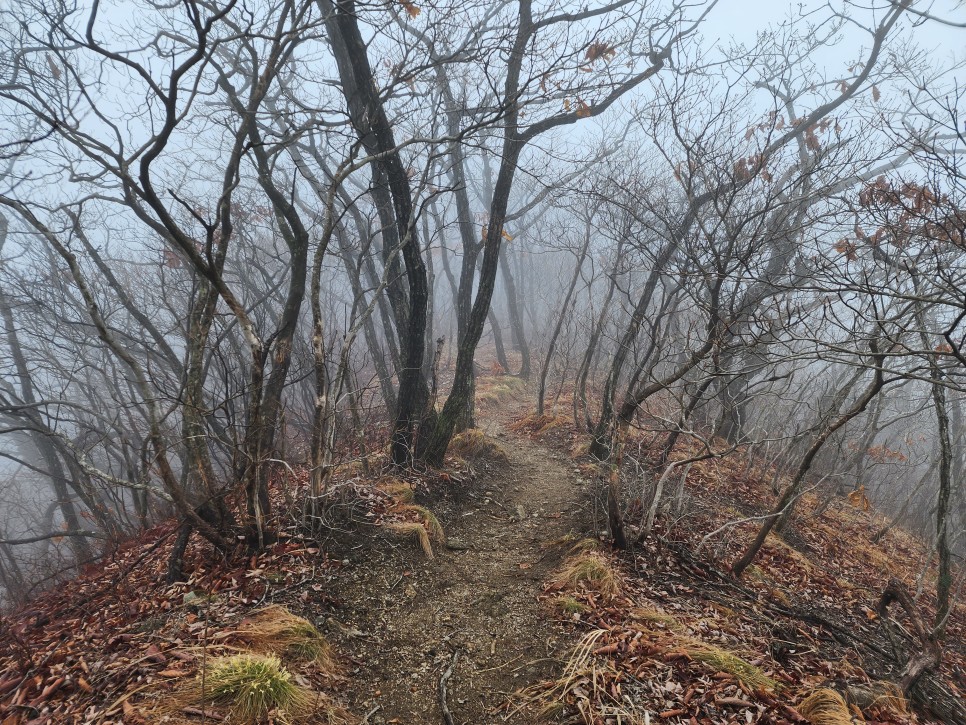 백두대간 29구간(삼마골재-삼도봉-박석산-백수리산-부항령-덕산재) 산행('23.03.25)