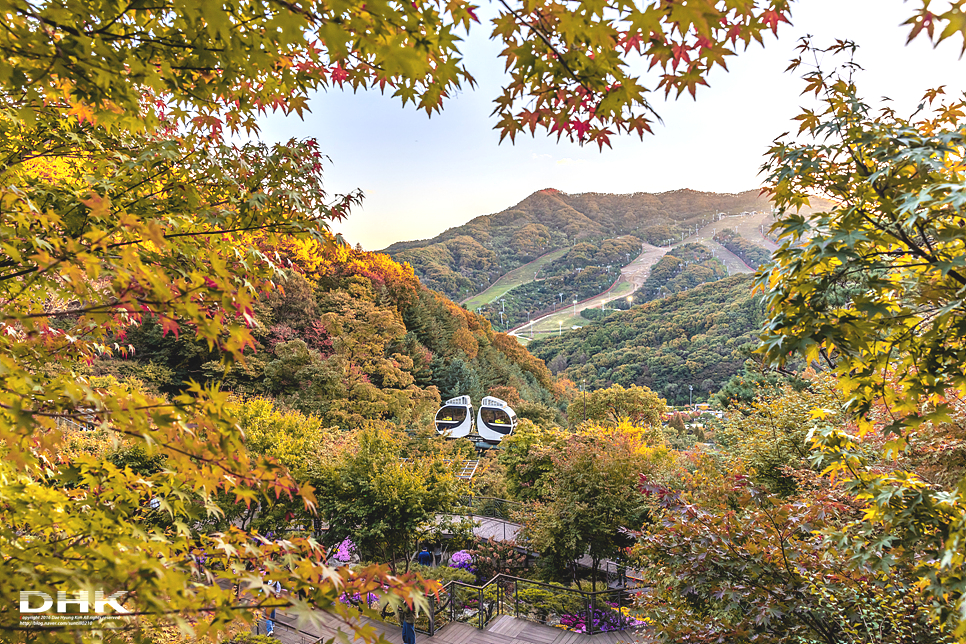 경기도 광주 가볼만한곳 화담숲 가을단풍축제 가을 명소 실시간 단풍 상황, 입장권 모노레일 예매방법