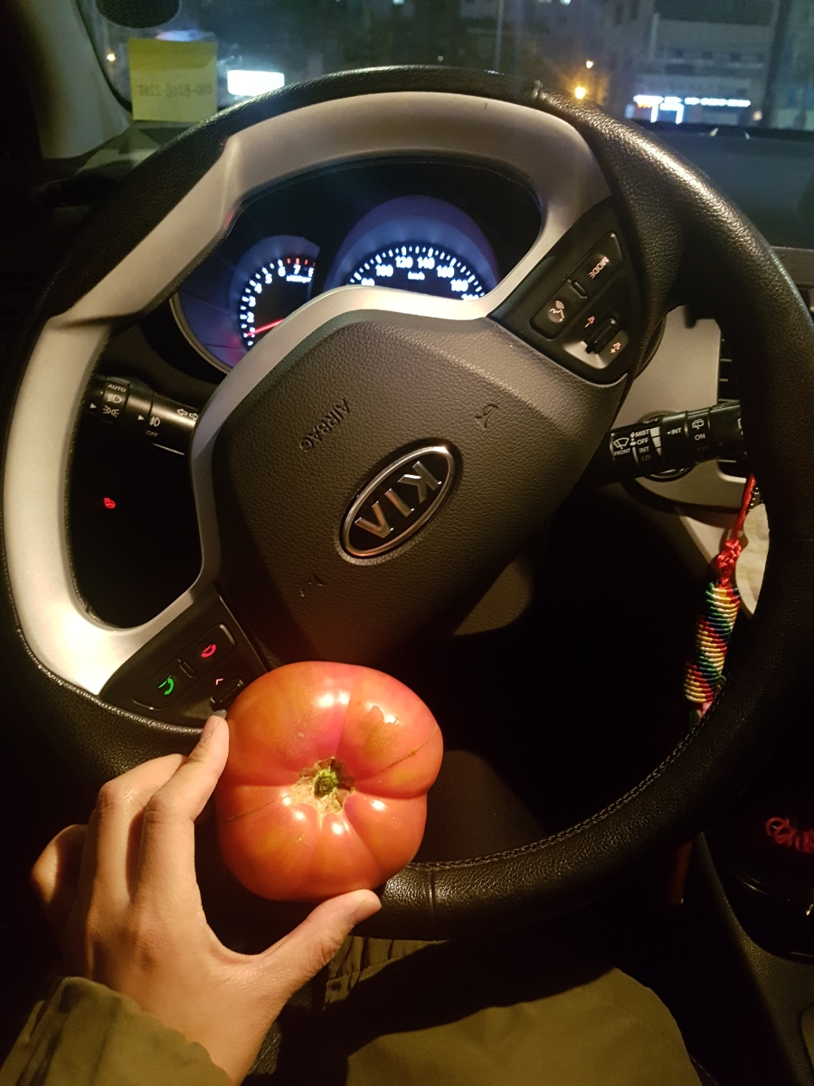 블로그씨) 저는 토마토를 기르고 싶어요! (토마토 바질 샐러드 레시피)